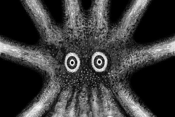 Современный маркетплейс kraken door