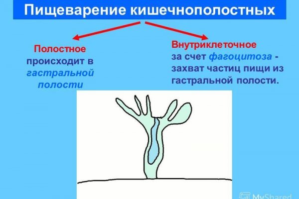 Как восстановить аккаунт кракен