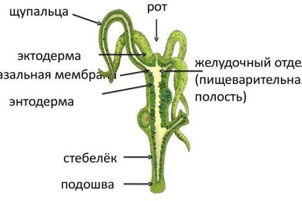 Кракен личный кабинет